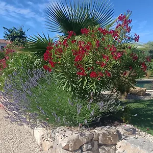Douce Provence Magnifique Neuf Avec Jardin Proche Du Centre Appartement Vaison-la-Romaine